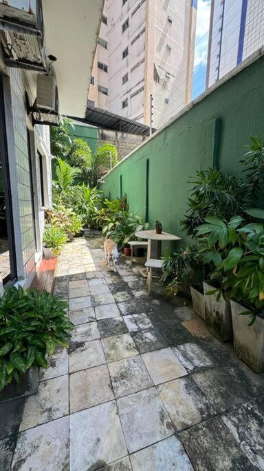 포르탈레자 Jardim Iracema 아파트 외부 사진