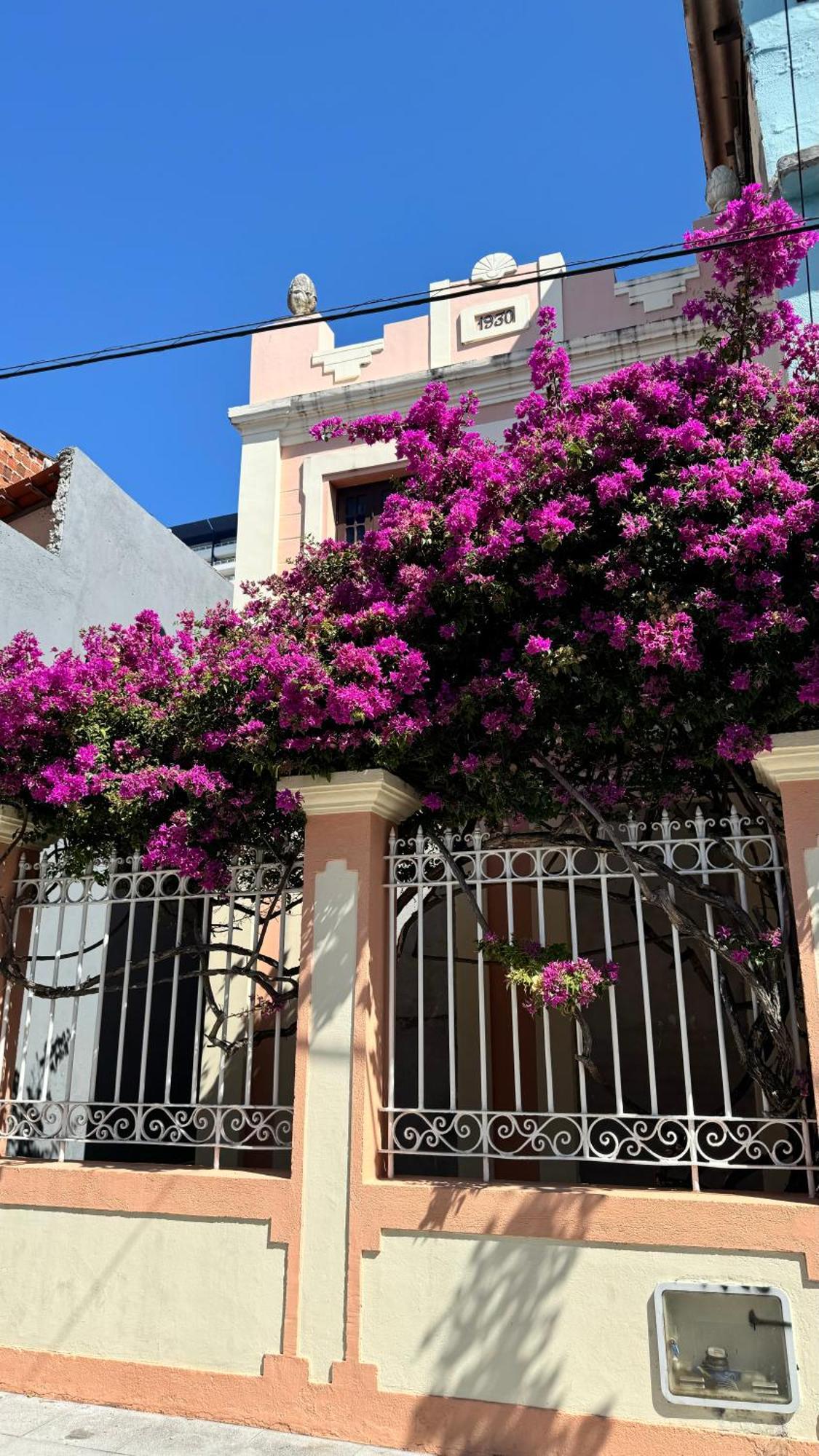 포르탈레자 Jardim Iracema 아파트 외부 사진